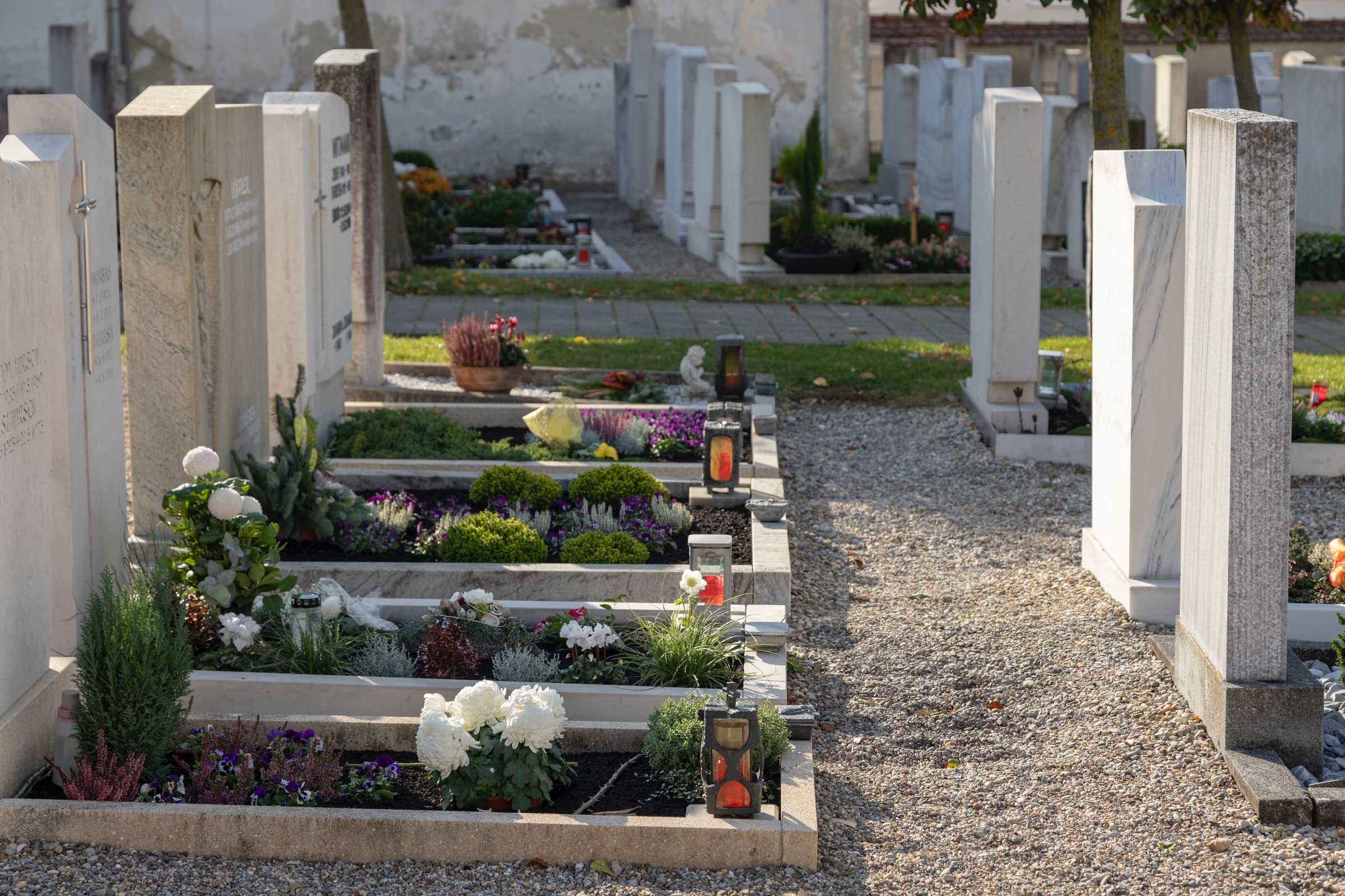 Sépulture paysagère : la sépulture végétal pour votre tombe