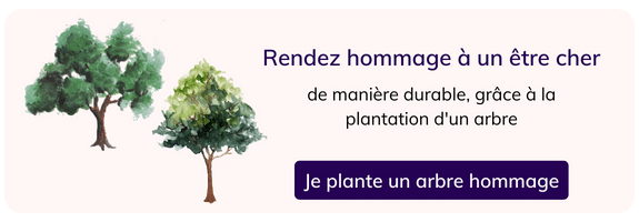 Carte à planter personnalisable  carte d'anniversaire personnalisable - Le  Jardin Perdu
